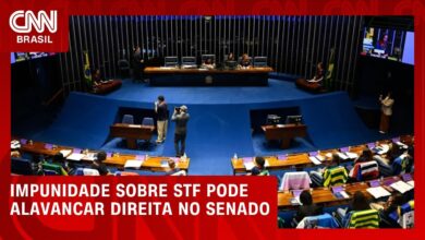 Adiamento de investigação contra Alexandre de Moraes pode favorecer candidatos de direita no Senado
