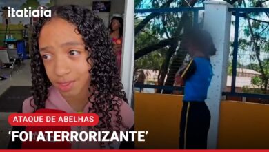 Adolescente atacada por enxame de abelhas em Ibirité recebe alta hospitalar