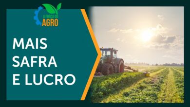 Biofungicidas à base de metabólitos superam químicos após cinco anos de testes na soja brasileira