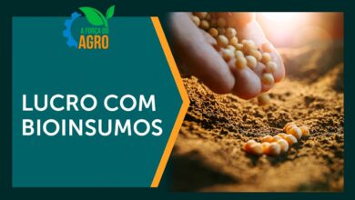 Bioinsumos ganham papel estratégico no agronegócio brasileiro