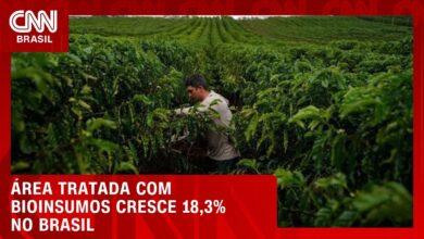 Brasil alcança 46 milhões de hectares tratados com bioinsumos no primeiro semestre de 2026