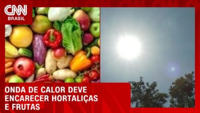 Calor de até 40°C após chuvas pode impactar qualidade e custo de alimentos frescos
