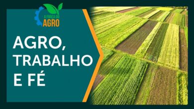 Compostos organominerais ganham destaque no Pará como alternativa sustentável para a agricultura