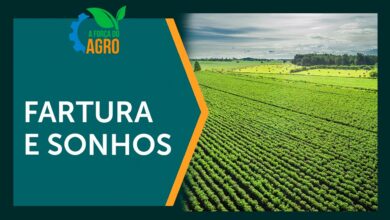 Entenda três mensagens dos sonhos que todo produtor rural deveria conhecer