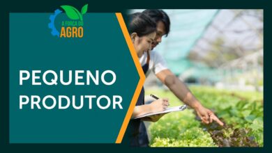 Especialistas destacam desafios jurídicos para pequenos produtores prosperarem no agronegócio