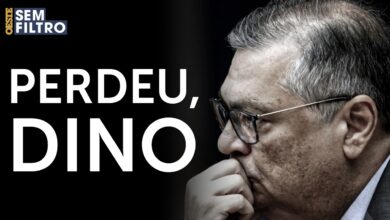 Ministro Fux determina exclusão de fake news sobre padroeira após ação contra ordem de Dino