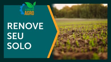 Organominerais revolucionam a fertilidade do solo e promovem sustentabilidade no agronegócio