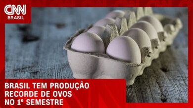 Produção de ovos no Brasil bate recorde histórico no primeiro semestre de 2026