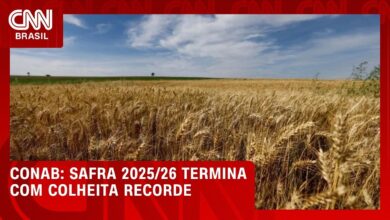 Safra 2025/26 deve registrar colheita recorde de 361,7 milhões de toneladas de grãos e fibras, diz Conab