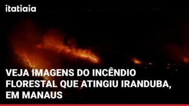 Bombeiros combatem incêndio florestal de grandes proporções em Iranduba, Amazonas