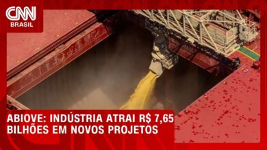 Capacidade de processamento de oleaginosas no Brasil cresce 13,1%, aponta ABIOVE
