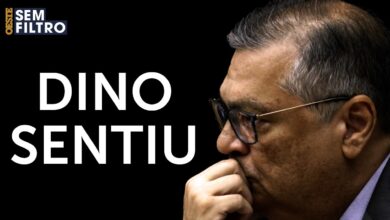 Dino utiliza argumento identitário para defender decisão do TSE em disputa entre Lula e Flávio