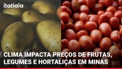 Preço de hortaliças sobe na Ceasa Minas; tomate e batata têm alta expressiva em outubro de 2026